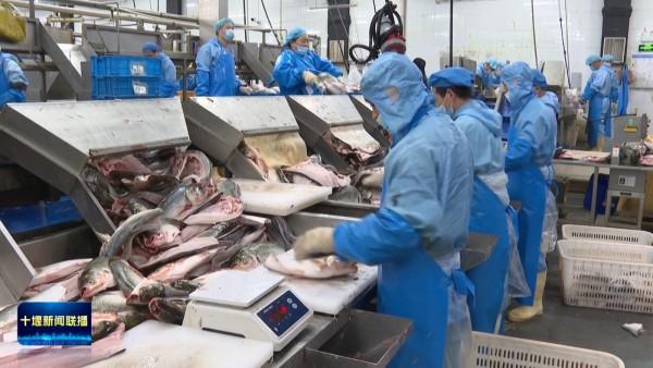 恒盈策略 持续提升能力作风 服务湖北建成支点丨博奥食品：研发新品拓市场 提前实现“双过半”