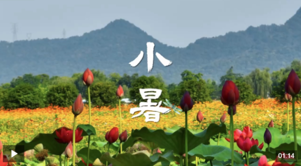 配亿多配资 文化中国行丨小暑，心向清凉好时节_大皖新闻 | 安徽网