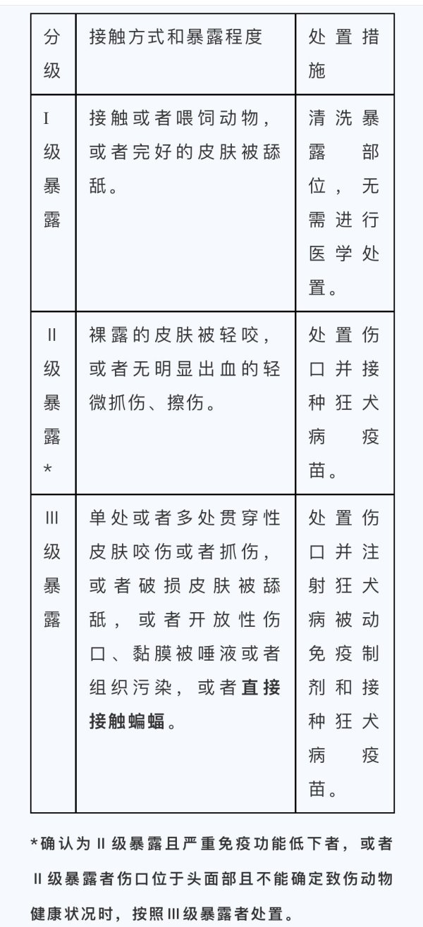 掌盘策略 猫狗伤人十天后没事，人就没事？“十日观察法”的真相来了丨世界狂犬病日